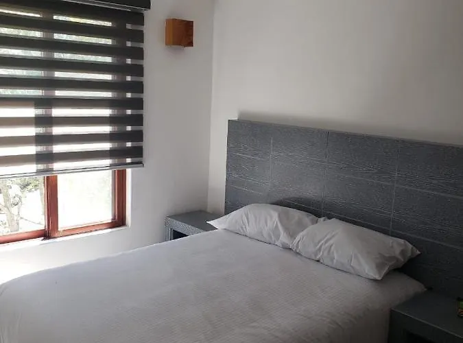 Departamento En Selvamar *